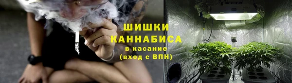 ГАЛЛЮЦИНОГЕННЫЕ ГРИБЫ Покачи